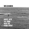 December - Where Were You Hiding When the Storm Broke?
