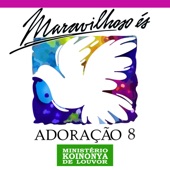 Adoração 8 - Maravilhoso És artwork