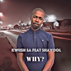 Why? (feat. Shavool) - Single