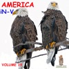 America, Volume 19