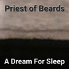 A Dream For Sleep - Single