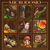 Microdosio artwork