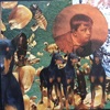 Dog House - Single