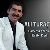 Erik Dalı - Ali Turaç