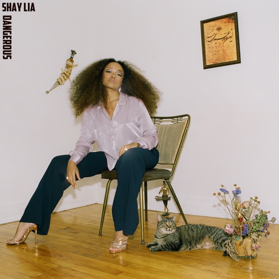 Cover artwork for Dangerous