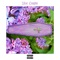 Lilac Coughin' (feat. $tevo) - heff lyrics