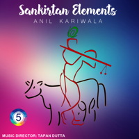 Anil Kariwala - Sankirtan Elements (5) artwork