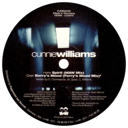 Cunnie Williams - Spirit (MAW Mix)