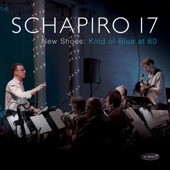 Schapiro 17 - Blue in Green