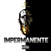 Impermanente (feat. Gudhyño) artwork