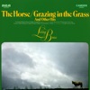 The Horse / Grazing In the Grass and Other Hits