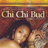 Chi Chi Bud artwork
