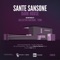 Dark House - Sante Sansone lyrics