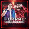 Forrao' - Single album lyrics, reviews, download