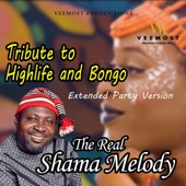 Tribute to Highlife and Bongo (Extended Party Version) artwork