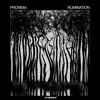 Rumination - EP album lyrics, reviews, download