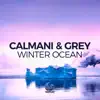Winter Ocean (Remixes) - EP album lyrics, reviews, download
