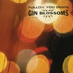 Gin Blossoms - Follow You Down