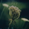 Tet - Single