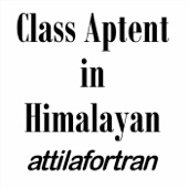 Attilafortran - Himalayan Snowman