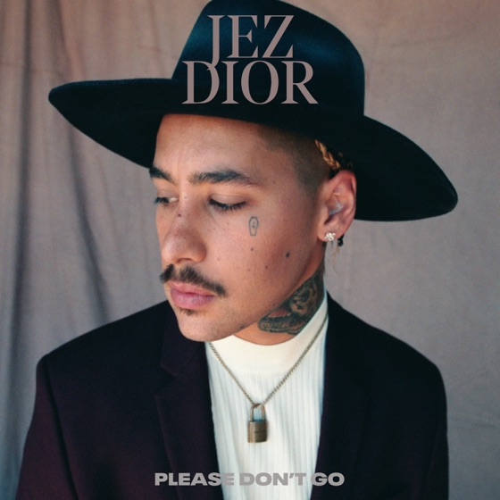 Cover artwork for Please Don't Go