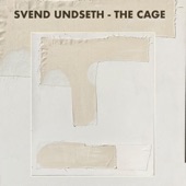 Svend Undseth - Loss of Ideal