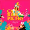 Carrapicho - Single album lyrics, reviews, download