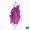 Nicki Minaj f.; Lil Wayne, Drake & Chris Brown - Only (Radio Xtra Clean)