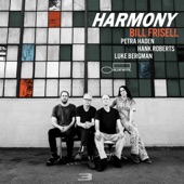 Bill Frisell - Hard Times