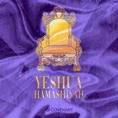 Yeshua HaMashiYah artwork