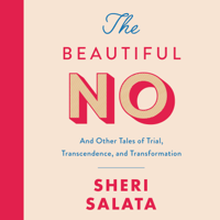 Sheri Salata - The Beautiful No artwork