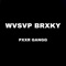 WVSVP BRXKY - PXXR GANGG lyrics