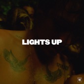 Lights Up artwork