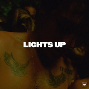 Lights Up - Single