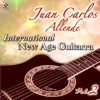 International New Age Guitarra, Vol. 2