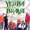 Yerba Brava