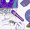 Ganja Rap (feat. O'man) - 26th District lyrics