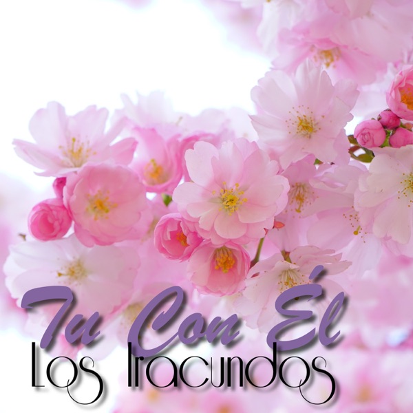 Los Iracundos - Voy a Pedirte de Rodillas