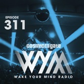 Wake Your Mind Radio 311 artwork