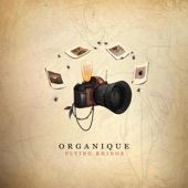 Organique artwork