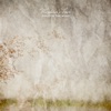 Grass in the Wind - Single