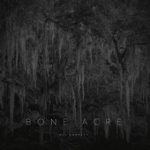 Bone Acre - Nothing Lasts
