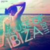 House of Ibiza 2011