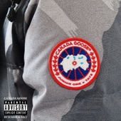 Canada Goose artwork