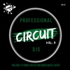 Professional Circuit Djs Compilation, Vol. 3