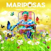 Mariposas Blancas artwork