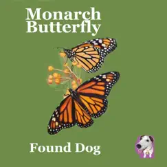 Monarch Butterfly by Found Dog album reviews, ratings, credits