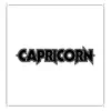 Capricorn - Single album lyrics, reviews, download