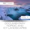 Arctic Desolation (feat. Tony Delmonte) - Andreas Roehrig lyrics