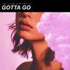 Falling Decibyls - Gotta Go